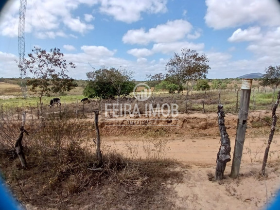 Imagem Terreno à Venda, 13.750 m² em Centro - Feira De Santana Imagem Terreno à Venda, 13.750 m² em Centro - Feira De Santana