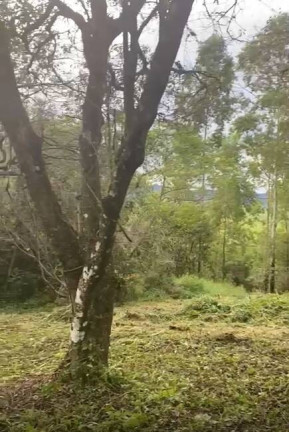 Imagem Terreno à Venda, 2 m² em Governador Celso Ramos Imagem Terreno à Venda, 2 m² em Governador Celso Ramos