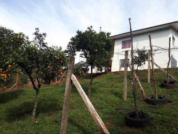 Imagem Imóvel à Venda, 77.000 m² em Barigui - Araucária Imagem Imóvel à Venda, 77.000 m² em Barigui - Araucária