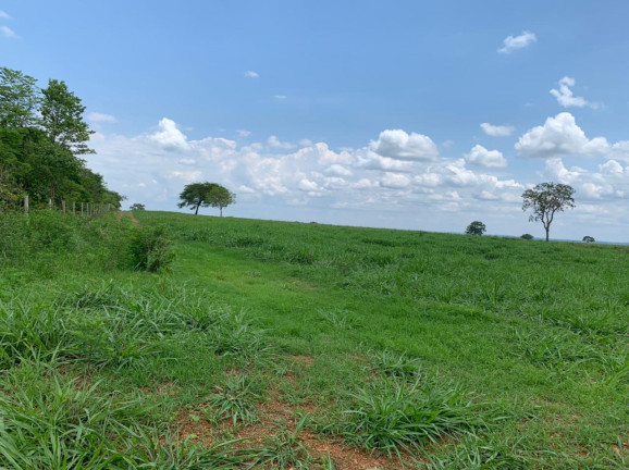 Imagem Imóvel à Venda,  em Divinópolis Do Tocantins/to - Divinópolis Do Tocantins