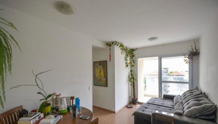 Imagem Apartamento com 2 Quartos à Venda, 50 m² em Cambuci - São Paulo Imagem Apartamento com 2 Quartos à Venda, 50 m² em Cambuci - São Paulo