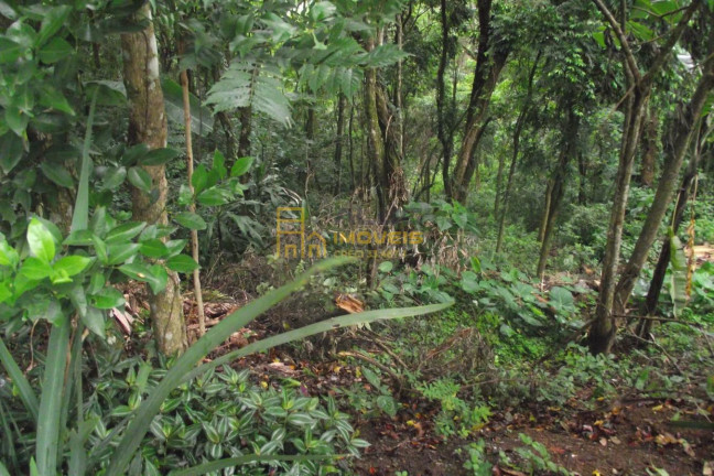 Imagem Terreno à Venda, 2.358 m² em Parque Alvorada - Santana De Parnaíba Imagem Terreno à Venda, 2.358 m² em Parque Alvorada - Santana De Parnaíba