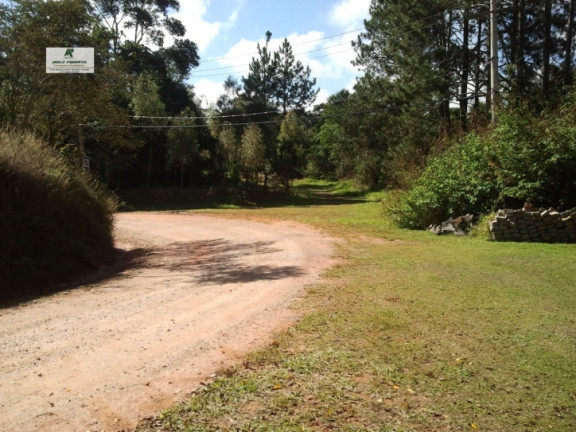 Imagem Chácara com 3 Quartos à Venda, 2.700 m² em Caetê - São Roque Imagem Chácara com 3 Quartos à Venda, 2.700 m² em Caetê - São Roque