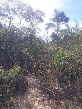 Imagem Chácara com 4 Quartos à Venda, em área Rural Do Norte De Minas - Montes Claros Imagem Chácara com 4 Quartos à Venda, em área Rural Do Norte De Minas - Montes Claros