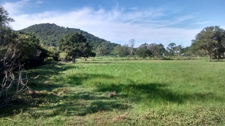 Imagem Chácara à Venda, 4.800 m² em São João Do Rio Vermelho - Florianópolis Imagem Chácara à Venda, 4.800 m² em São João Do Rio Vermelho - Florianópolis