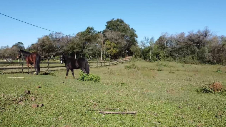 Imagem Chácara à Venda, 49.733 m² em Centro - Santa Cruz Do Sul