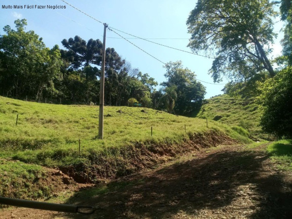 Imagem Terreno à Venda, em Vila Olinda - Nova Petrópolis Imagem Terreno à Venda, em Vila Olinda - Nova Petrópolis