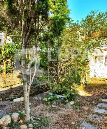 Imagem Terreno à Venda, 350 m² em Jardim São Paulo - São Paulo Imagem Terreno à Venda, 350 m² em Jardim São Paulo - São Paulo