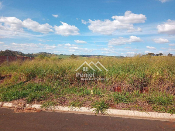 Terreno à Venda, 253 m² em Belvedere Residencial - Ribeirão Preto