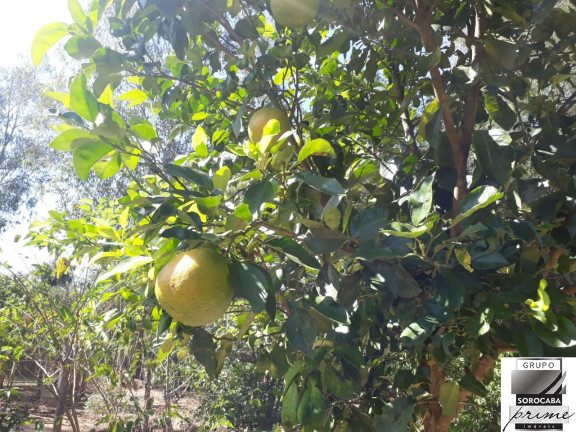Imagem Imóvel com 2 Quartos à Venda, em Cercado - Araçoiaba Da Serra Imagem Imóvel com 2 Quartos à Venda, em Cercado - Araçoiaba Da Serra