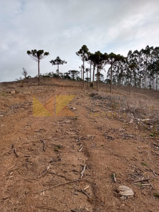 Imagem Fazenda à Venda, 59.000 m² em Alto Cedros - Rio Dos Cedros
