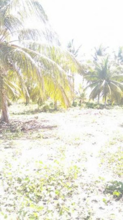 Imagem Terreno à Venda, 2 m² em São Cristóvão - Salvador Imagem Terreno à Venda, 2 m² em São Cristóvão - Salvador