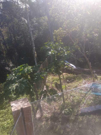 Imagem Chácara à Venda,  em Centro - Santo Amaro Da Imperatriz