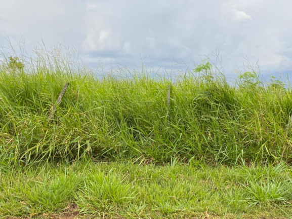 Imagem Fazenda à Venda, 532 m² em Rural - Jales Imagem Fazenda à Venda, 532 m² em Rural - Jales