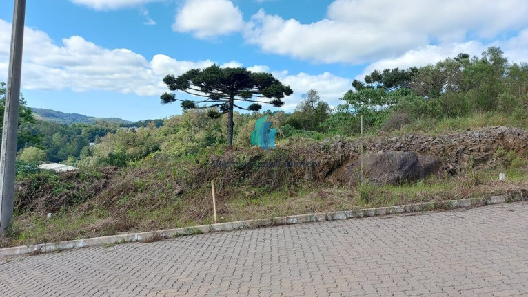Imagem Terreno à Venda, 375 m² em Barracão - Bento Gonçalves Imagem Terreno à Venda, 375 m² em Barracão - Bento Gonçalves