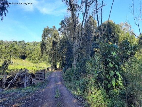 Imagem Terreno à Venda, 1 m² em Br 116 - Nova Petrópolis Imagem Terreno à Venda, 1 m² em Br 116 - Nova Petrópolis