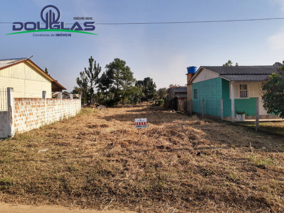 Imagem Terreno à Venda, em águas Claras - Viamão Imagem Terreno à Venda, em águas Claras - Viamão