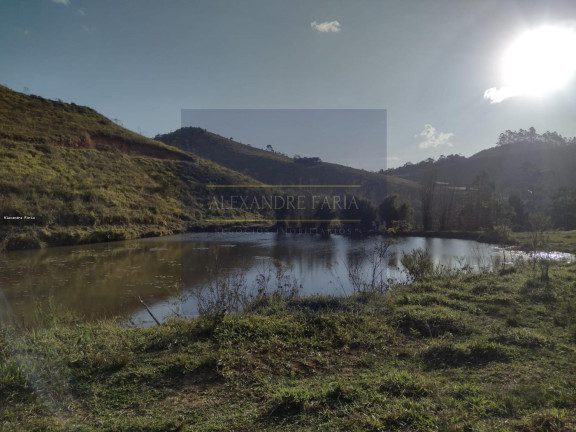 Terreno à Venda, 8.000 m² em Pouso Alto - Natividade Da Serra