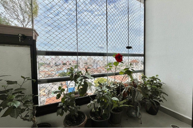 Imagem Apartamento com 2 Quartos à Venda, 62 m² em Vila Moinho Velho - São Paulo Imagem Apartamento com 2 Quartos à Venda, 62 m² em Vila Moinho Velho - São Paulo