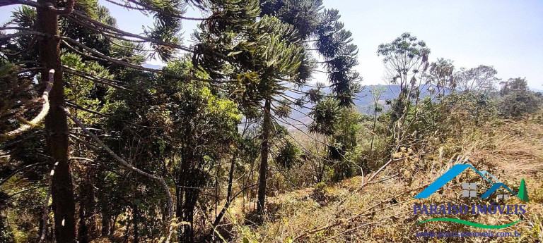 Imagem Chácara à Venda, 49 m² em Centro - Gonçalves Imagem Chácara à Venda, 49 m² em Centro - Gonçalves