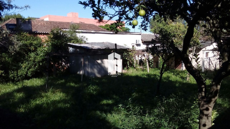 Imagem Terreno à Venda, 605 m² em Noal - Santa Maria Imagem Terreno à Venda, 605 m² em Noal - Santa Maria