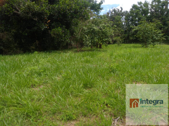 Imagem Chácara com 6 Quartos à Venda, 750 m² em Jardim Nova Limeira - Limeira Imagem Chácara com 6 Quartos à Venda, 750 m² em Jardim Nova Limeira - Limeira