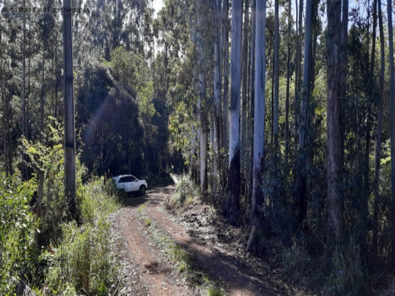 Imagem Terreno à Venda, 1 m² em Br 116 - Nova Petrópolis Imagem Terreno à Venda, 1 m² em Br 116 - Nova Petrópolis