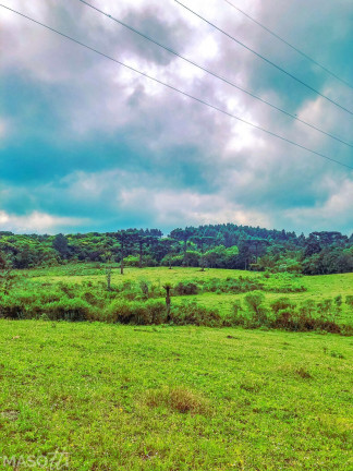 Imagem Chácara à Venda, 70.000 m² em Serra Grande Alemã - Gramado Imagem Chácara à Venda, 70.000 m² em Serra Grande Alemã - Gramado