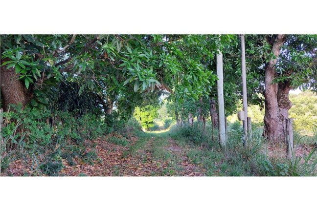 Imagem Imóvel à Venda, 200.000 m² em Bacaxa - Saquarema Imagem Imóvel à Venda, 200.000 m² em Bacaxa - Saquarema