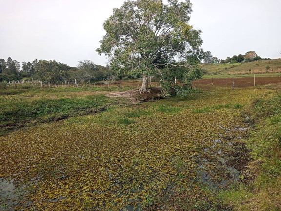 Imagem Chácara à Venda, 10.000 m² em águas Claras - Viamão Imagem Chácara à Venda, 10.000 m² em águas Claras - Viamão