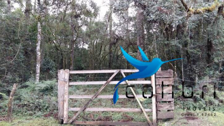 Imagem Chácara à Venda, 51.425 m² em Ribeirãozinho - Agudos Do Sul Imagem Chácara à Venda, 51.425 m² em Ribeirãozinho - Agudos Do Sul