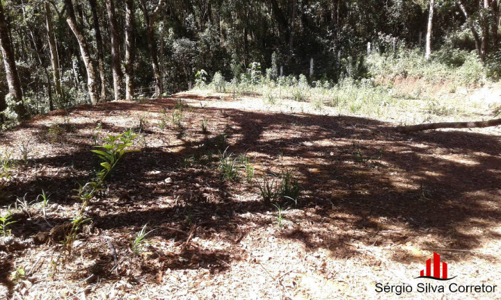 Imagem Terreno à Venda, 1 m² em Alto Do Capivari - Campos Do Jordão Imagem Terreno à Venda, 1 m² em Alto Do Capivari - Campos Do Jordão