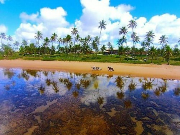 Terreno à Venda, 700 m² em Praia Do Forte - Mata De São João