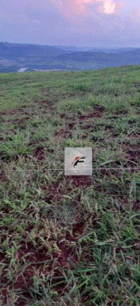 Imagem Fazenda à Venda, 1.149.500 m² em Bairro Rural - Manoel Ribas Imagem Fazenda à Venda, 1.149.500 m² em Bairro Rural - Manoel Ribas