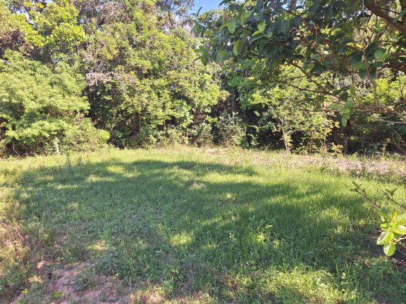 Imagem Chácara com 3 Quartos à Venda, 3.000 m² em Lombas - Viamão