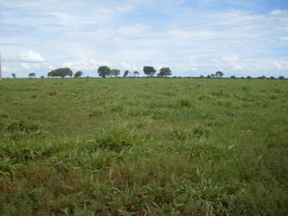 Imagem Imóvel à Venda,  em Região Do Araguaia Xingu - São Félix Do Araguaia