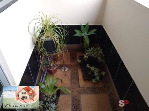 Imagem Apartamento com 3 Quartos à Venda, 101 m² em Santa Maria - São Caetano Do Sul Imagem Apartamento com 3 Quartos à Venda, 101 m² em Santa Maria - São Caetano Do Sul