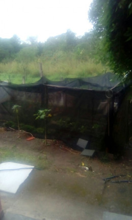 Imagem Chácara com 2 Quartos à Venda, em Igarapes - Jacareí Imagem Chácara com 2 Quartos à Venda, em Igarapes - Jacareí