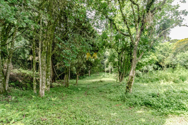 Imagem Chácara com 2 Quartos à Venda, 107 m² em Capoeira Dos Dinos - Piraquara