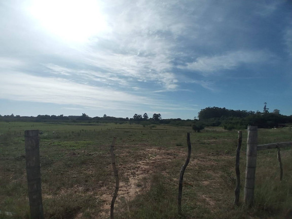 Imagem Chácara com 2 Quartos à Venda, 20.000 m² em águas Claras - Viamão