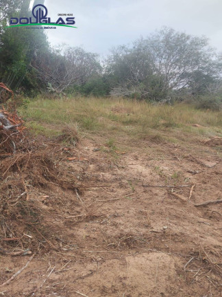 Imagem Imóvel Comercial à Venda, 20.000 m² em Viamão Imagem Imóvel Comercial à Venda, 20.000 m² em Viamão