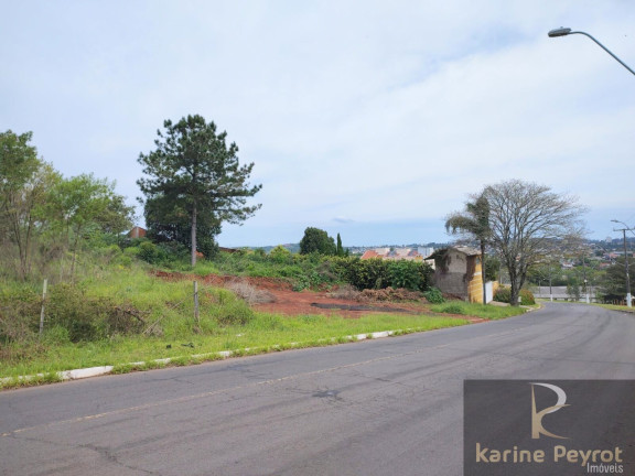 Imagem Terreno à Venda, 785 m² em Campestre - São Leopoldo Imagem Terreno à Venda, 785 m² em Campestre - São Leopoldo