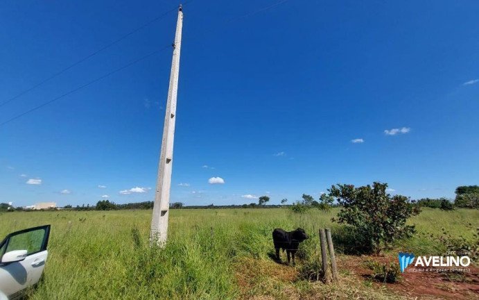 Imagem Terreno à Venda, 10.000 m² em Chácara Das Mansões - Campo Grande
