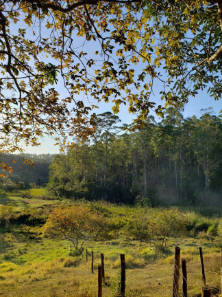 Imagem Fazenda à Venda, 30.000 m² em Centro - Jarinu Imagem Fazenda à Venda, 30.000 m² em Centro - Jarinu