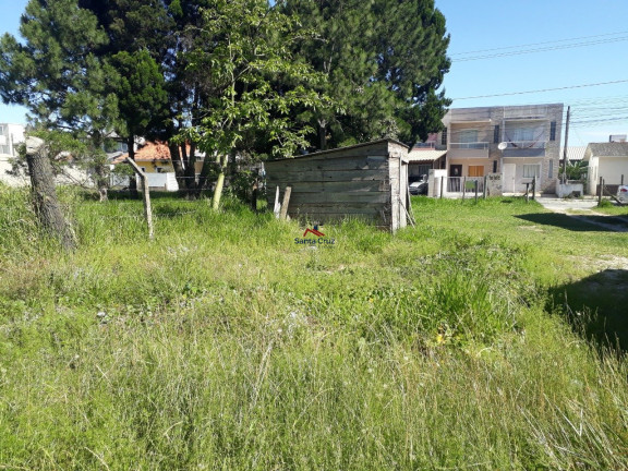 Imagem Terreno à Venda, em São João Do Rio Vermelho - Florianópolis Imagem Terreno à Venda, em São João Do Rio Vermelho - Florianópolis