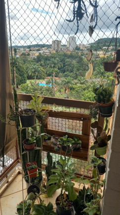 Imagem Apartamento com 3 Quartos à Venda, 76 m² em Lagoinha - Ribeirão Preto Imagem Apartamento com 3 Quartos à Venda, 76 m² em Lagoinha - Ribeirão Preto