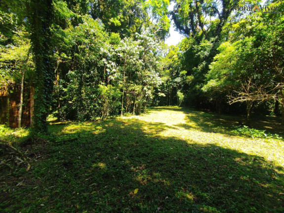Imagem Chácara à Venda, 6.000 m² em Loteamento Chácara Chantecler - Piraquara Imagem Chácara à Venda, 6.000 m² em Loteamento Chácara Chantecler - Piraquara