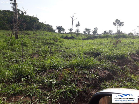 Imagem Fazenda à Venda, 1.050 m² em Rural - Juína Imagem Fazenda à Venda, 1.050 m² em Rural - Juína