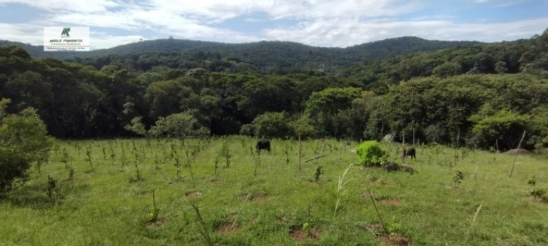 Imagem Chácara com 3 Quartos à Venda, 20.000 m² em Sorocamirim (canguera) - São Roque Imagem Chácara com 3 Quartos à Venda, 20.000 m² em Sorocamirim (canguera) - São Roque