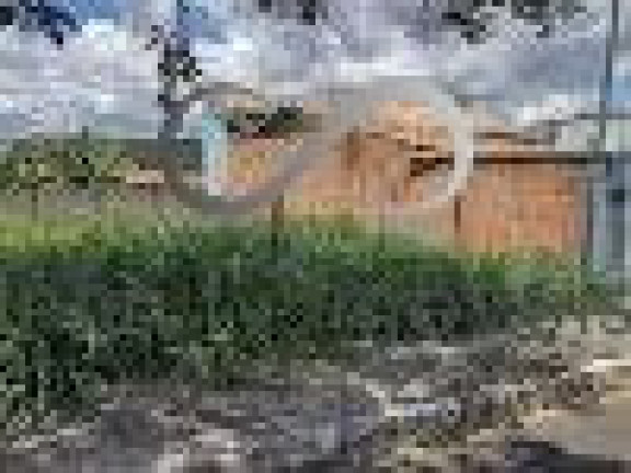 Imagem Terreno à Venda, em Acácias - Lagoa Santa Imagem Terreno à Venda, em Acácias - Lagoa Santa